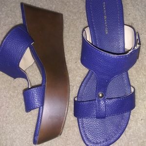 Blue Thick heeled Platforms